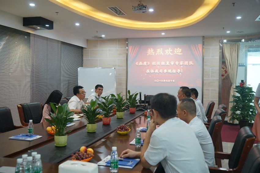 在麻豆视频下载总部会议室洽谈